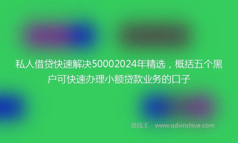 私人借贷快速解决50002024年精选，概括五个黑户可快速办理小额贷款业务的口子