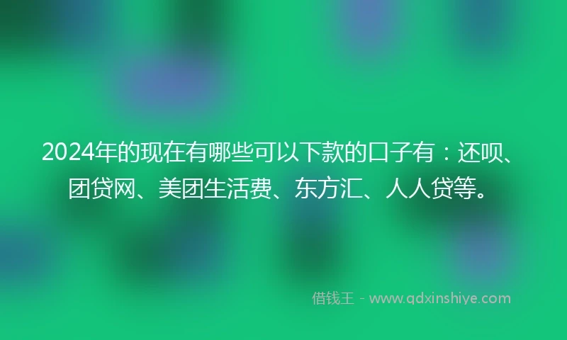 2024年的现在有哪些可以下款的口子有：还呗、团贷网、美团生活费、东方汇、人人贷等。