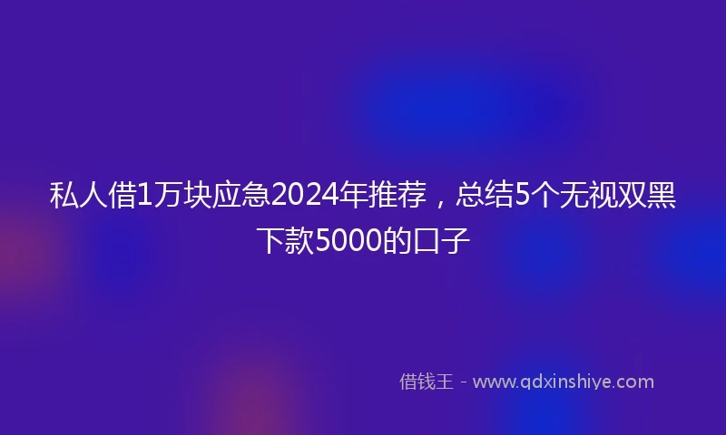 私人借1万块应急2024年推荐，总结5个无视双黑下款5000的口子