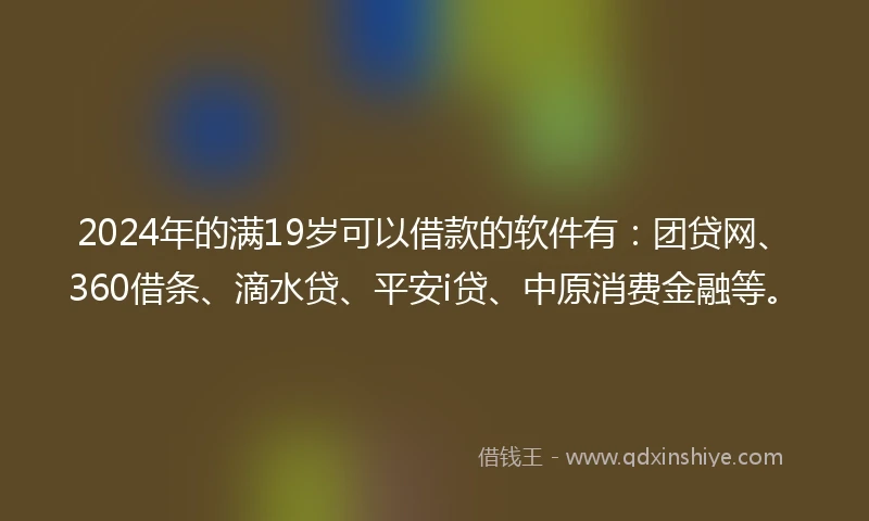 2024年的满19岁可以借款的软件有：团贷网、360借条、滴水贷、平安i贷、中原消费金融等。