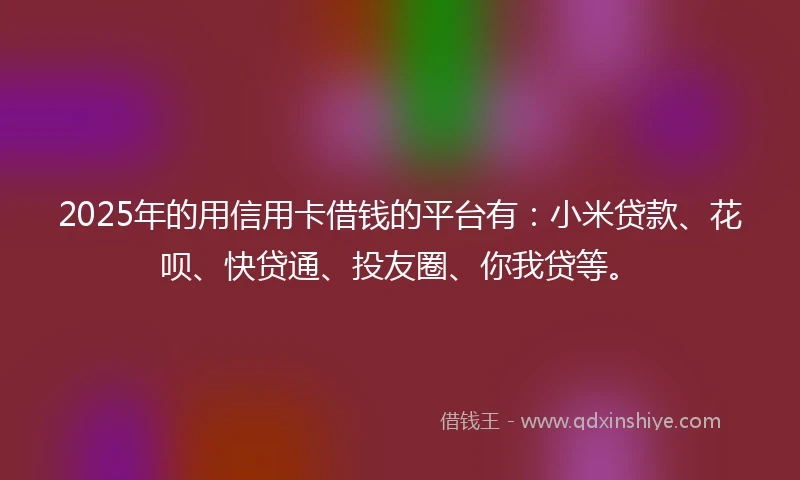 2025年的用信用卡借钱的平台有：小米贷款、花呗、快贷通、投友圈、你我贷等。