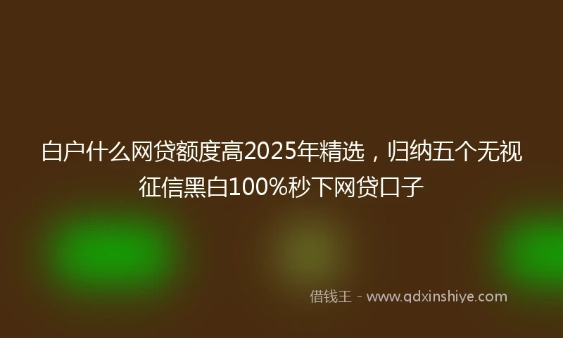 白户什么网贷额度高2025年精选，归纳五个无视征信黑白100%秒下网贷口子
