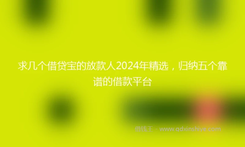 求几个借贷宝的放款人2024年精选，归纳五个靠谱的借款平台