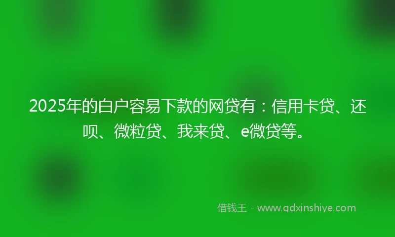 2025年的白户容易下款的网贷有：信用卡贷、还呗、微粒贷、我来贷、e微贷等。