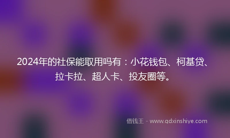 2024年的社保能取用吗有：小花钱包、柯基贷、拉卡拉、超人卡、投友圈等。