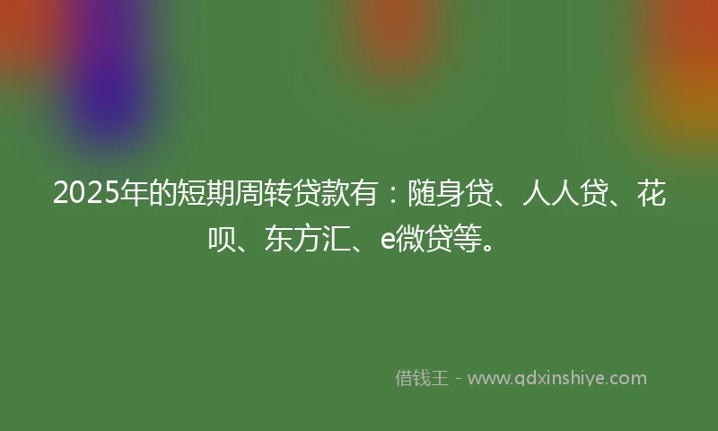 2025年的短期周转贷款有：随身贷、人人贷、花呗、东方汇、e微贷等。