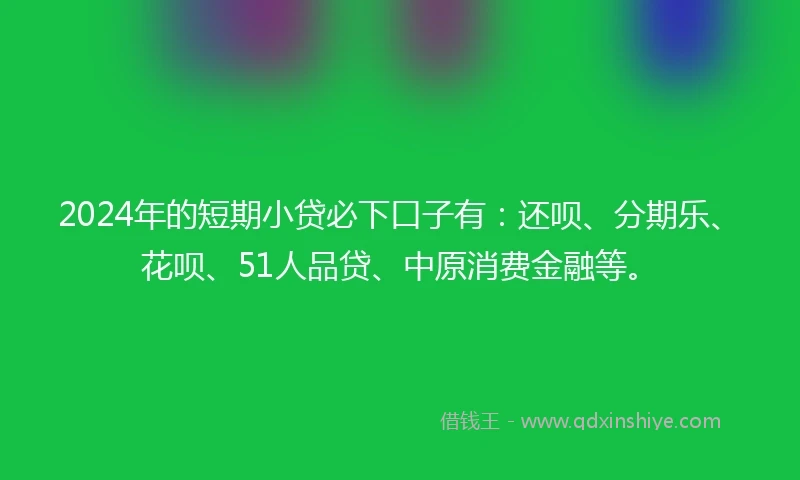 2024年的短期小贷必下口子有：还呗、分期乐、花呗、51人品贷、中原消费金融等。