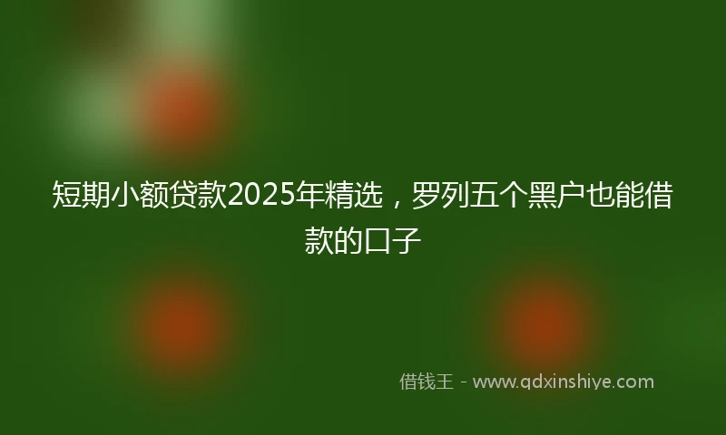 短期小额贷款2025年精选，罗列五个黑户也能借款的口子