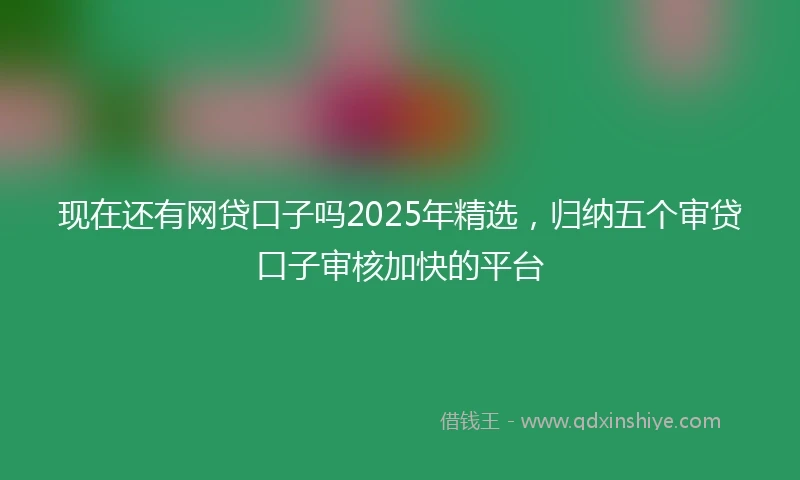 现在还有网贷口子吗2025年精选，归纳五个审贷口子审核加快的平台