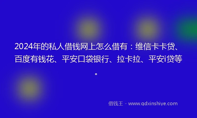 2024年的私人借钱网上怎么借有：维信卡卡贷、百度有钱花、平安口袋银行、拉卡拉、平安i贷等。