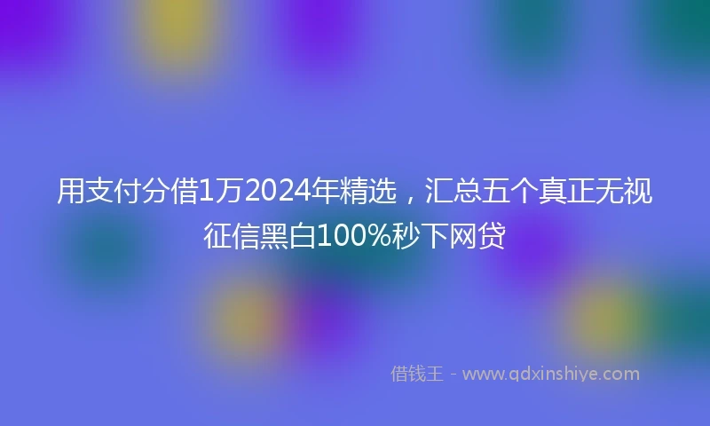 用支付分借1万2024年精选，汇总五个真正无视征信黑白100%秒下网贷