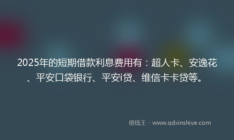 2025年的短期借款利息费用有：超人卡、安逸花、平安口袋银行、平安i贷、维信卡卡贷等。