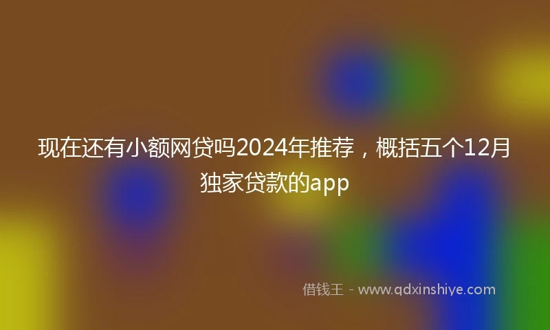 现在还有小额网贷吗2024年推荐，概括五个12月独家贷款的app