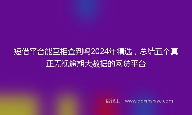 短借平台能互相查到吗2024年精选，总结五个真正无视逾期大数据的网贷平台