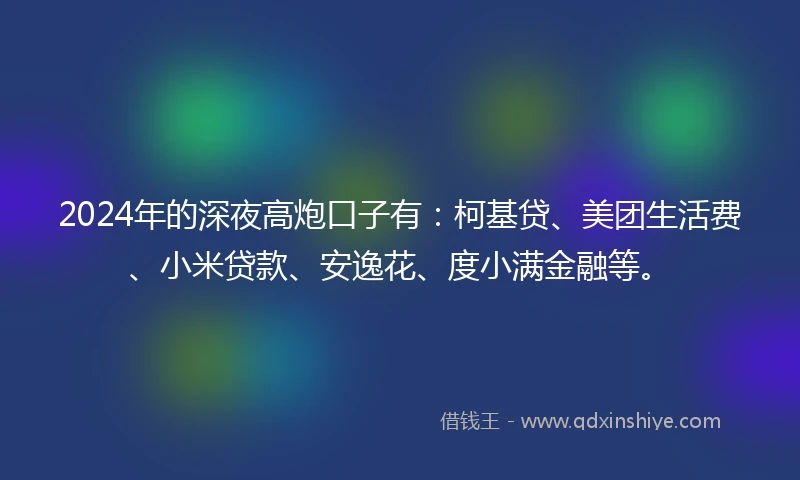 2024年的深夜高炮口子有：柯基贷、美团生活费、小米贷款、安逸花、度小满金融等。