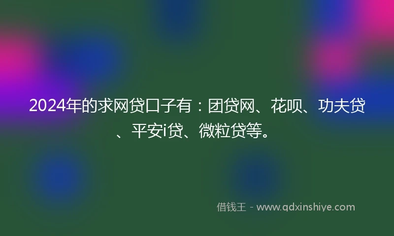 2024年的求网贷口子有：团贷网、花呗、功夫贷、平安i贷、微粒贷等。