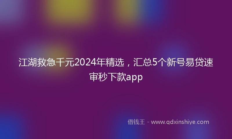 江湖救急千元2024年精选，汇总5个新号易贷速审秒下款app