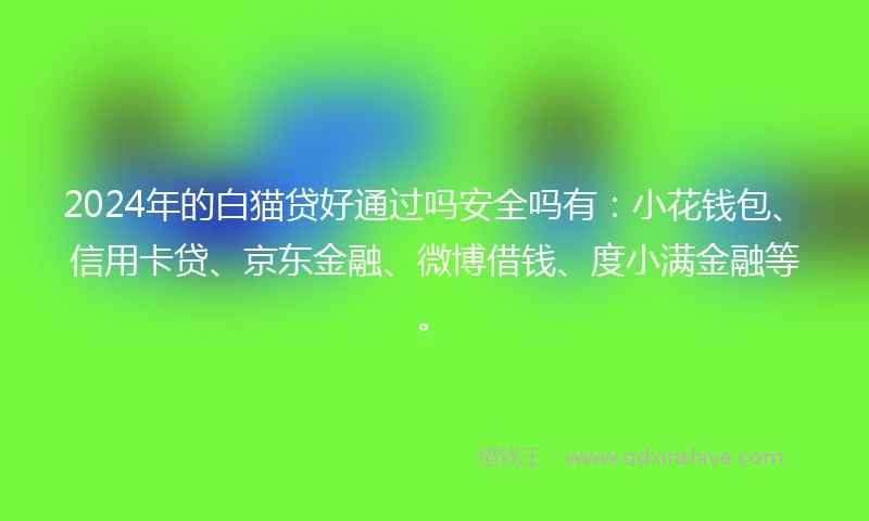 2024年的白猫贷好通过吗安全吗有：小花钱包、信用卡贷、京东金融、微博借钱、度小满金融等。