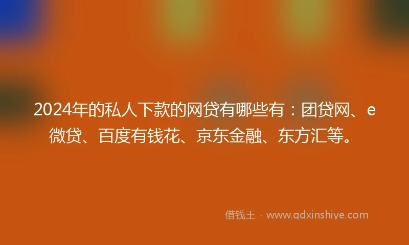 2024年的私人下款的网贷有哪些有：团贷网、e微贷、百度有钱花、京东金融、东方汇等。