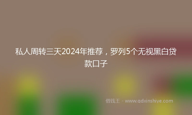私人周转三天2024年推荐，罗列5个无视黑白贷款口子