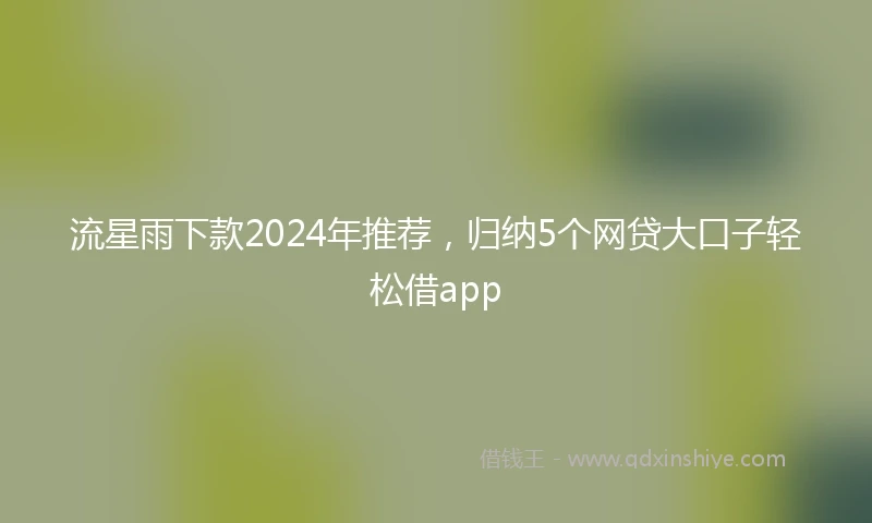 流星雨下款2024年推荐，归纳5个网贷大口子轻松借app