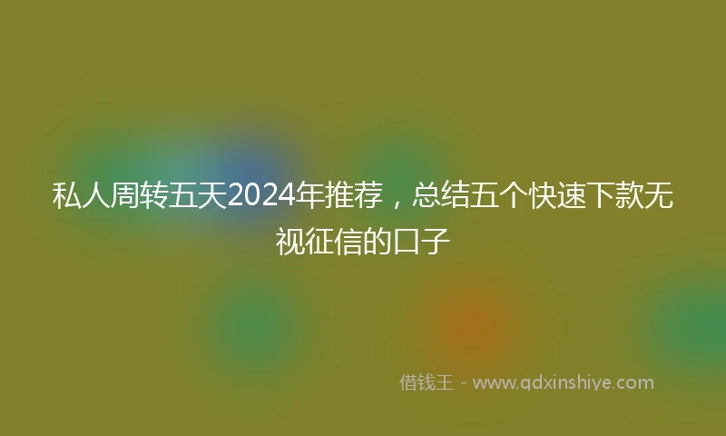 私人周转五天2024年推荐，总结五个快速下款无视征信的口子