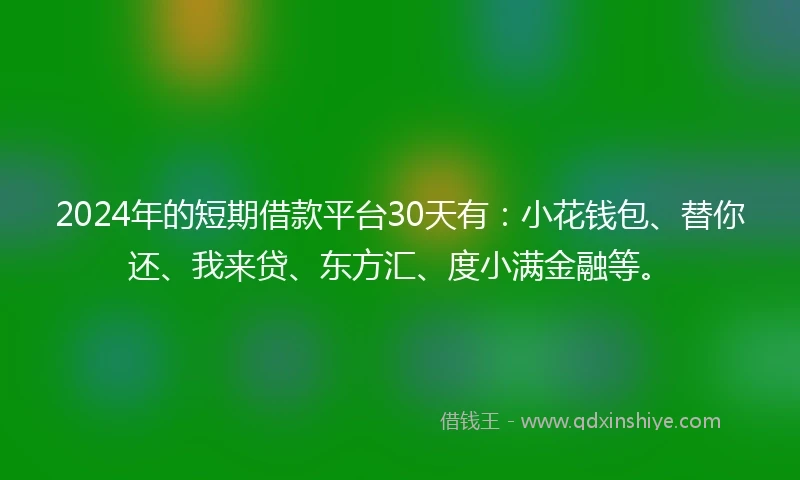 2024年的短期借款平台30天有：小花钱包、替你还、我来贷、东方汇、度小满金融等。