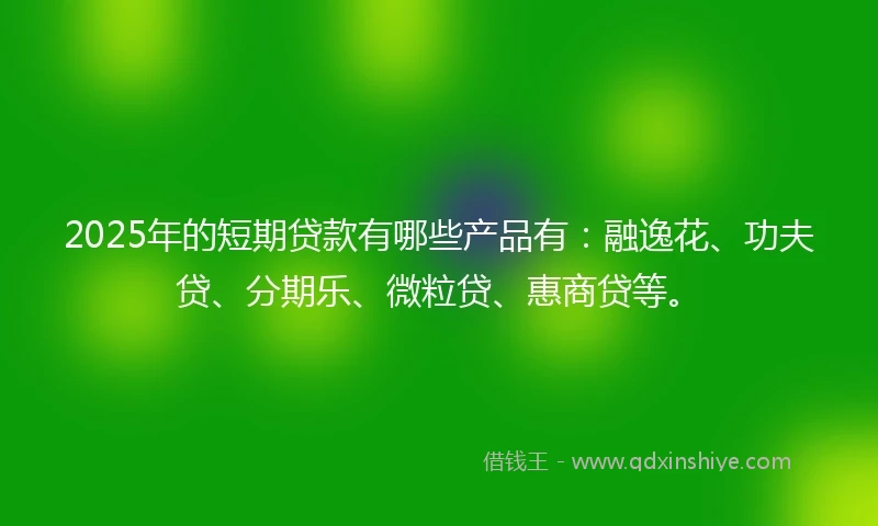 2025年的短期贷款有哪些产品有：融逸花、功夫贷、分期乐、微粒贷、惠商贷等。
