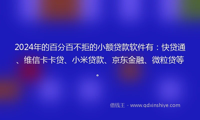 2024年的百分百不拒的小额贷款软件有：快贷通、维信卡卡贷、小米贷款、京东金融、微粒贷等。