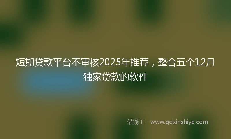短期贷款平台不审核2025年推荐，整合五个12月独家贷款的软件