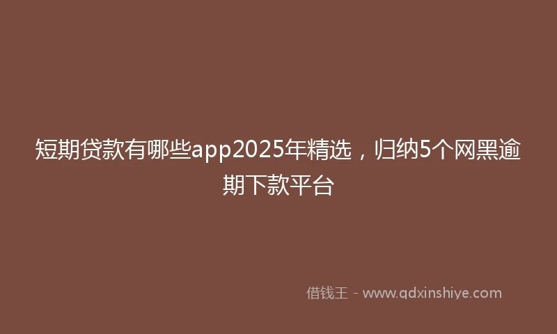短期贷款有哪些app2025年精选，归纳5个网黑逾期下款平台
