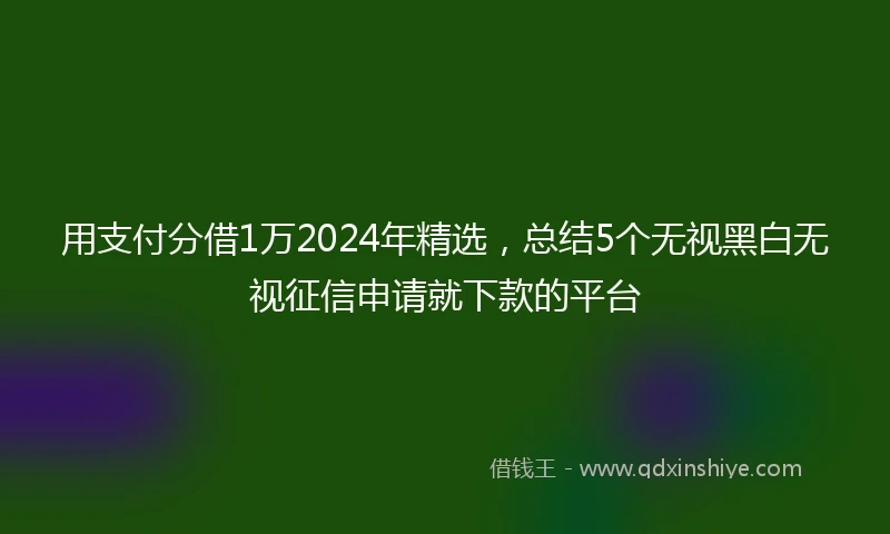 用支付分借1万2024年精选，总结5个无视黑白无视征信申请就下款的平台