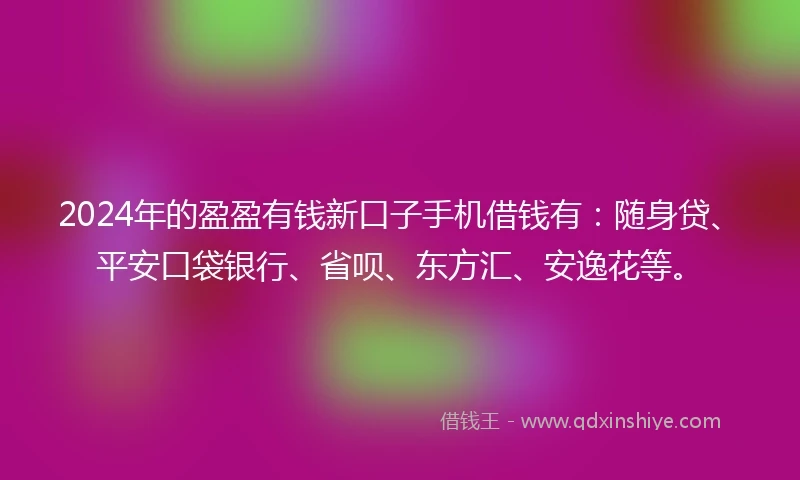 2024年的盈盈有钱新口子手机借钱有：随身贷、平安口袋银行、省呗、东方汇、安逸花等。