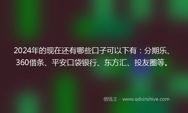 2024年的现在还有哪些口子可以下有：分期乐、360借条、平安口袋银行、东方汇、投友圈等。