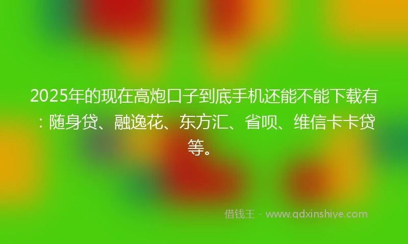 2025年的现在高炮口子到底手机还能不能下载有：随身贷、融逸花、东方汇、省呗、维信卡卡贷等。