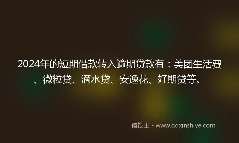 2024年的短期借款转入逾期贷款有：美团生活费、微粒贷、滴水贷、安逸花、好期贷等。