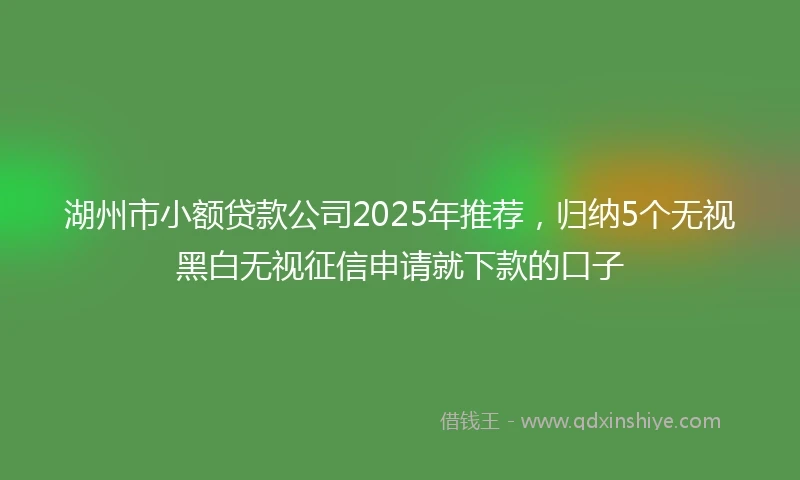 湖州市小额贷款公司2025年推荐，归纳5个无视黑白无视征信申请就下款的口子