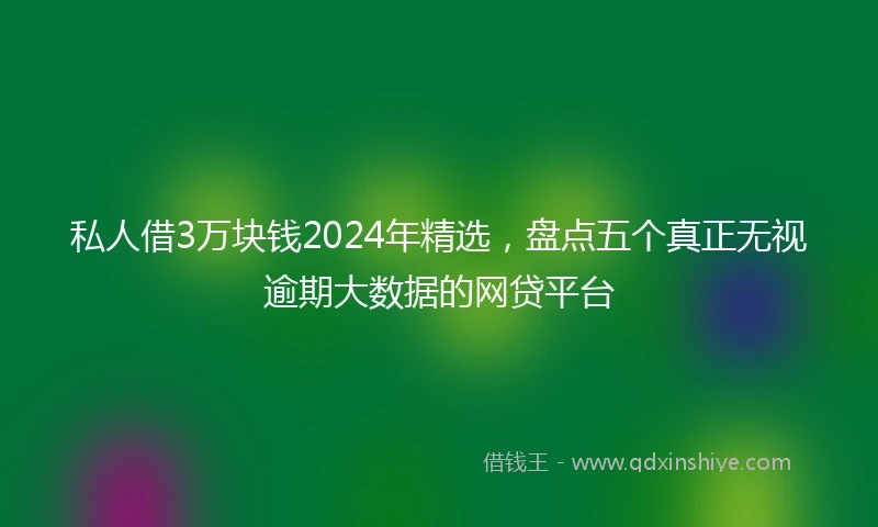 私人借3万块钱2024年精选，盘点五个真正无视逾期大数据的网贷平台