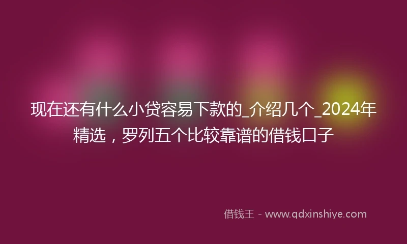 现在还有什么小贷容易下款的_介绍几个_2024年精选，罗列五个比较靠谱的借钱口子
