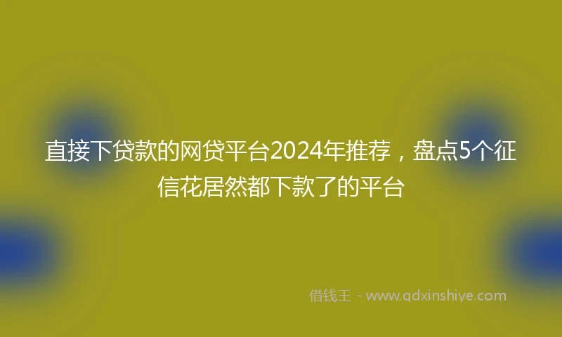 直接下贷款的网贷平台2024年推荐，盘点5个征信花居然都下款了的平台