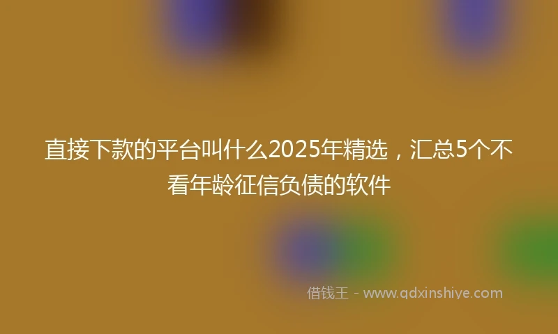 直接下款的平台叫什么2025年精选，汇总5个不看年龄征信负债的软件