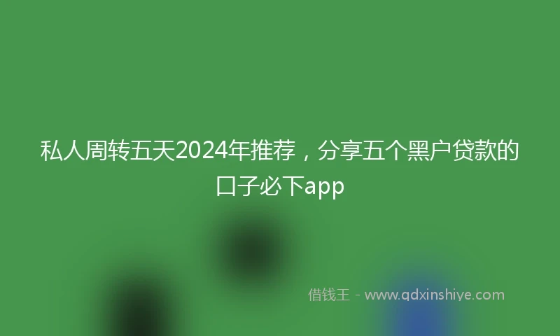 私人周转五天2024年推荐，分享五个黑户贷款的口子必下app