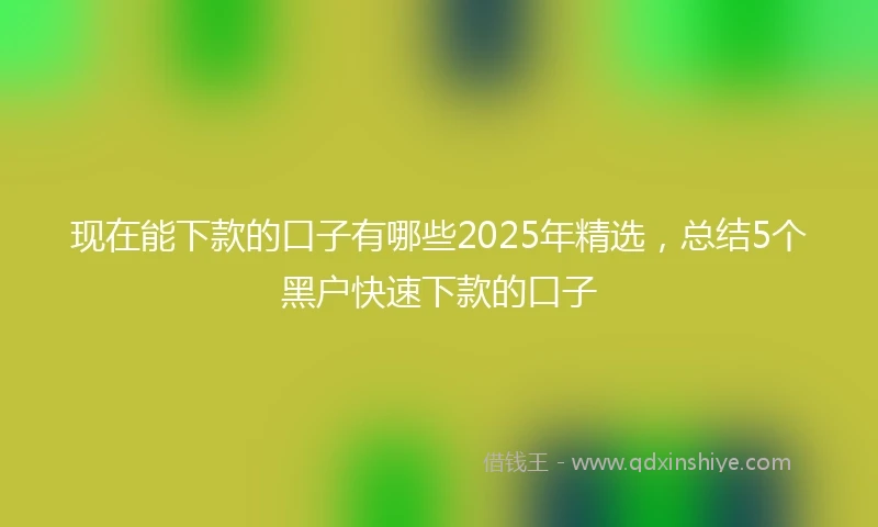 现在能下款的口子有哪些2025年精选，总结5个黑户快速下款的口子