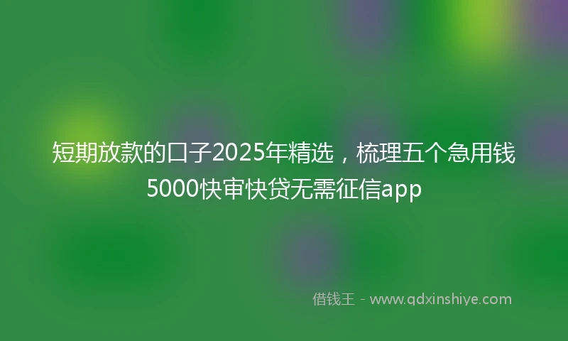 短期放款的口子2025年精选，梳理五个急用钱5000快审快贷无需征信app