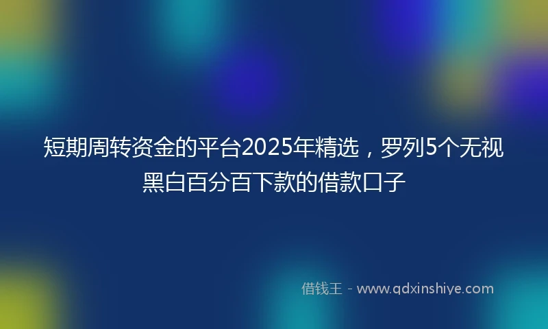 短期周转资金的平台2025年精选，罗列5个无视黑白百分百下款的借款口子