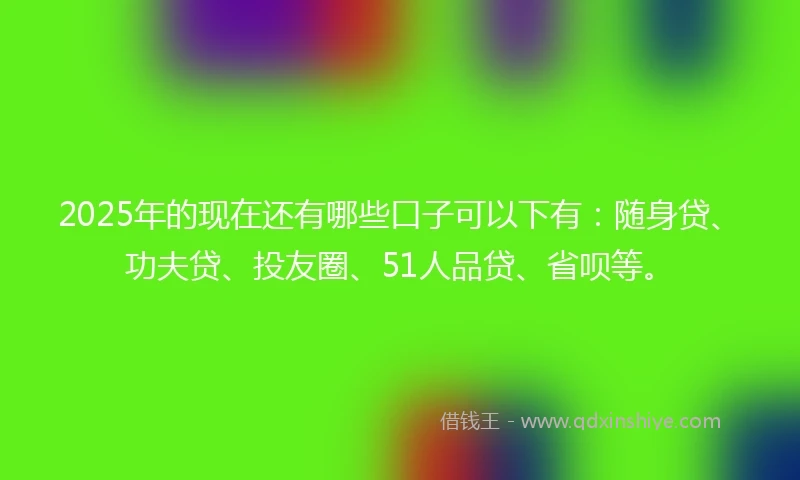 2025年的现在还有哪些口子可以下有：随身贷、功夫贷、投友圈、51人品贷、省呗等。