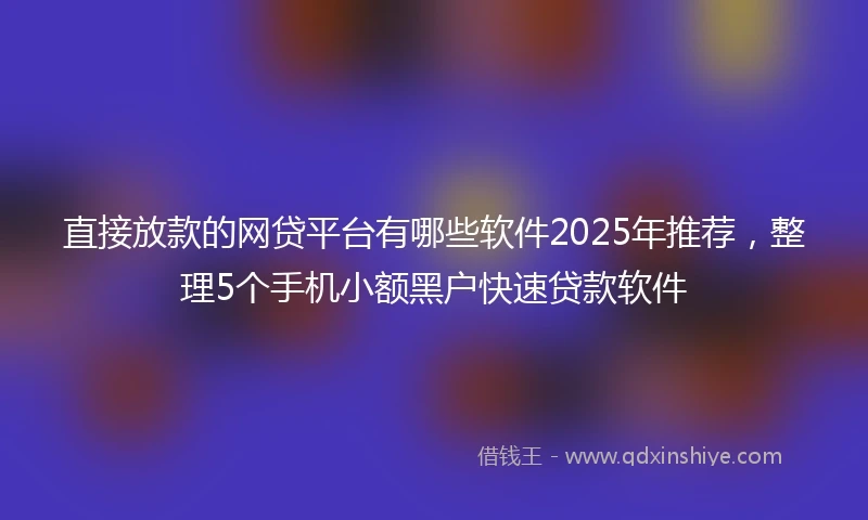 直接放款的网贷平台有哪些软件2025年推荐，整理5个手机小额黑户快速贷款软件