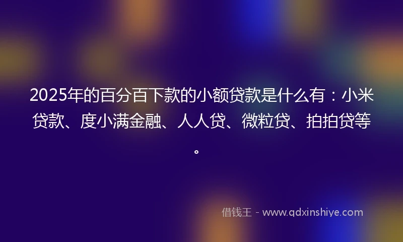 2025年的百分百下款的小额贷款是什么有：小米贷款、度小满金融、人人贷、微粒贷、拍拍贷等。