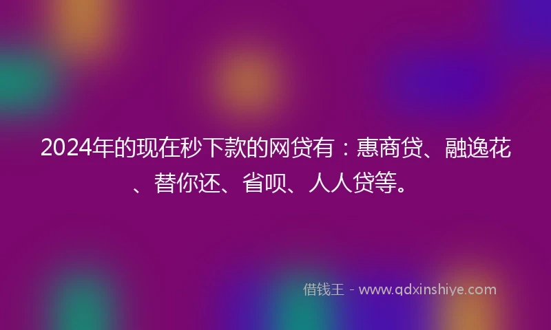 2024年的现在秒下款的网贷有：惠商贷、融逸花、替你还、省呗、人人贷等。