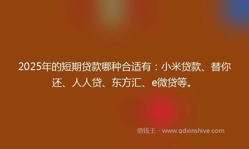 2025年的短期贷款哪种合适有：小米贷款、替你还、人人贷、东方汇、e微贷等。
